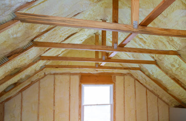 Best Crawl Space Insulation  in Ettrick, VA