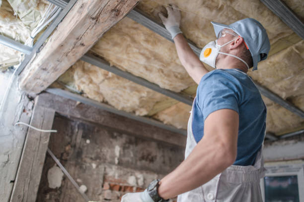 Best Insulation for Commercial Buildings  in Ettrick, VA