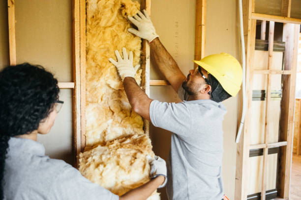 Best Garage Insulation Installation  in Ettrick, VA