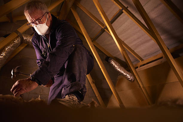 Insulation for Commercial Buildings in Ettrick, VA
